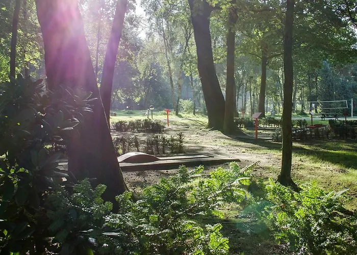 贝尔蒙特酒店 埃德